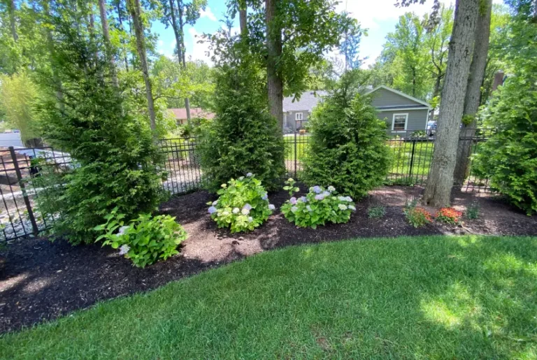 Landscape planting services in NJ