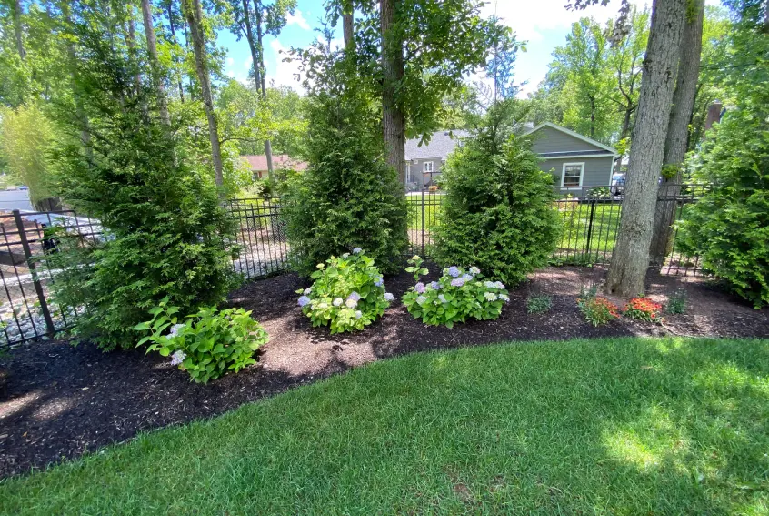 Landscape planting services in NJ