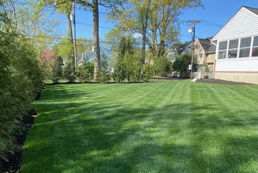 Lawn Care services in NJ by sage construction and build