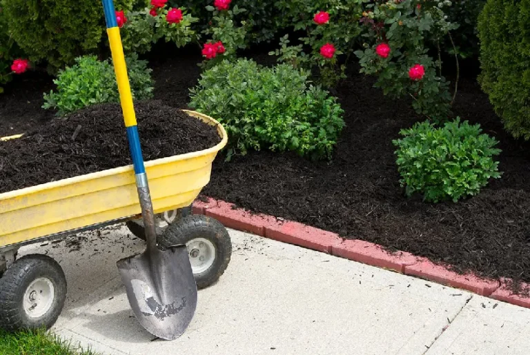 Mulching services in NJ