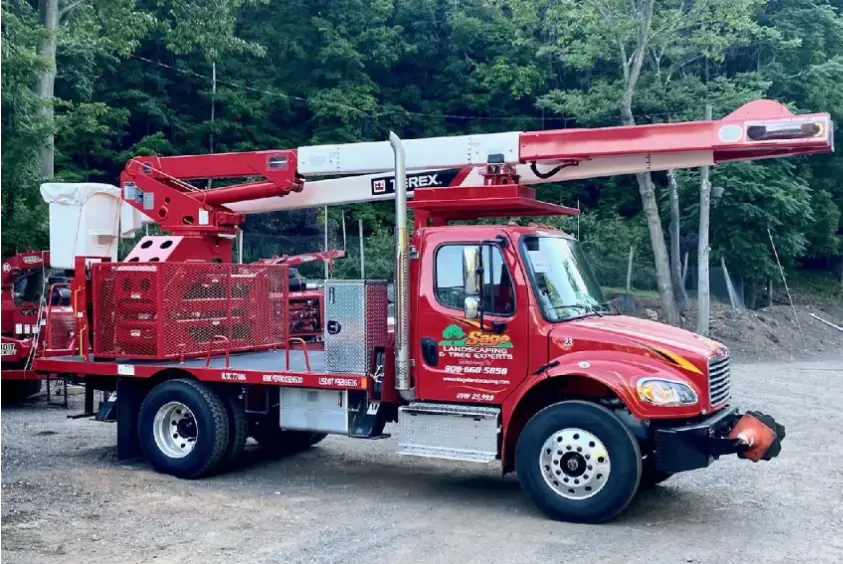 Tree removal and trimming